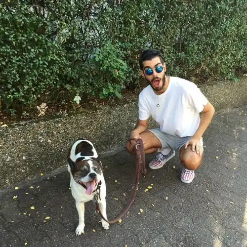 6686体育平台合作伙伴Clifford