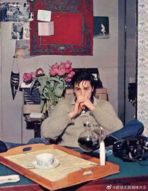 6686体育平台初级作者Zoe