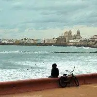 6686体育平台铜牌作者暖意序言