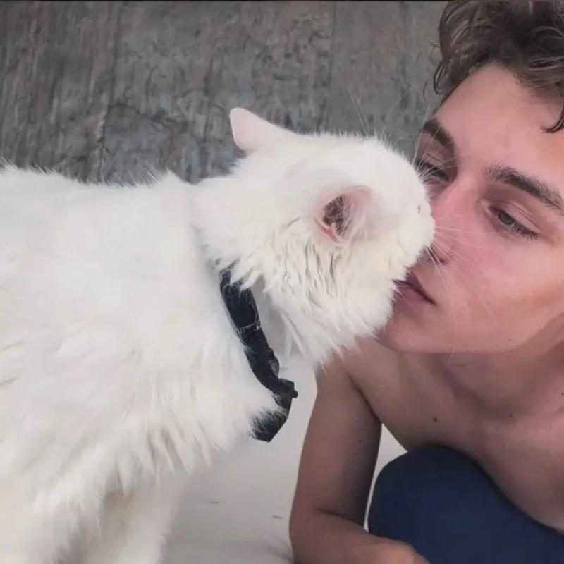 6686体育平台银牌作者纤尘