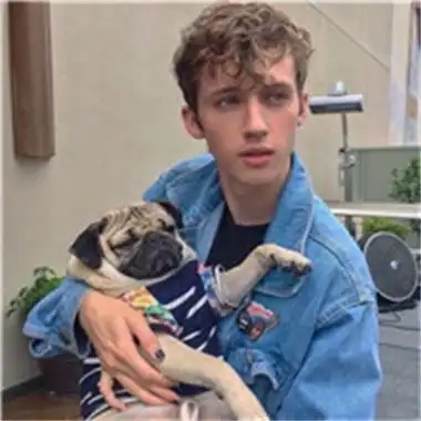 6686体育平台特邀作者猫咕