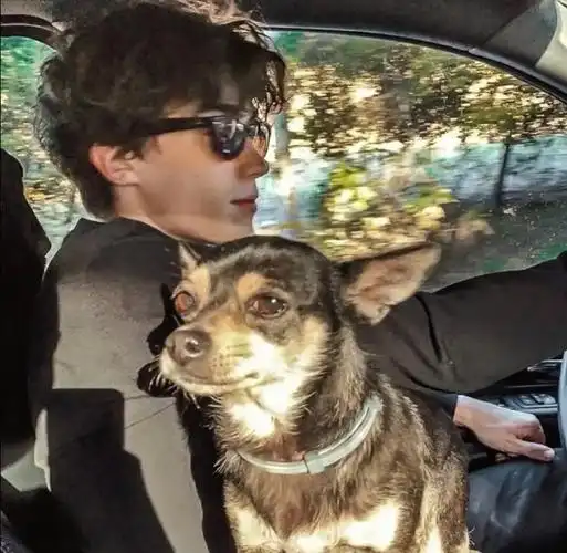 6686体育平台金牌作者Archie