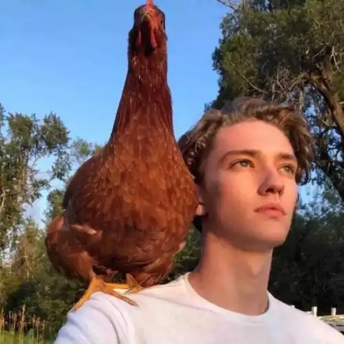 6686体育平台签约作者Octavia