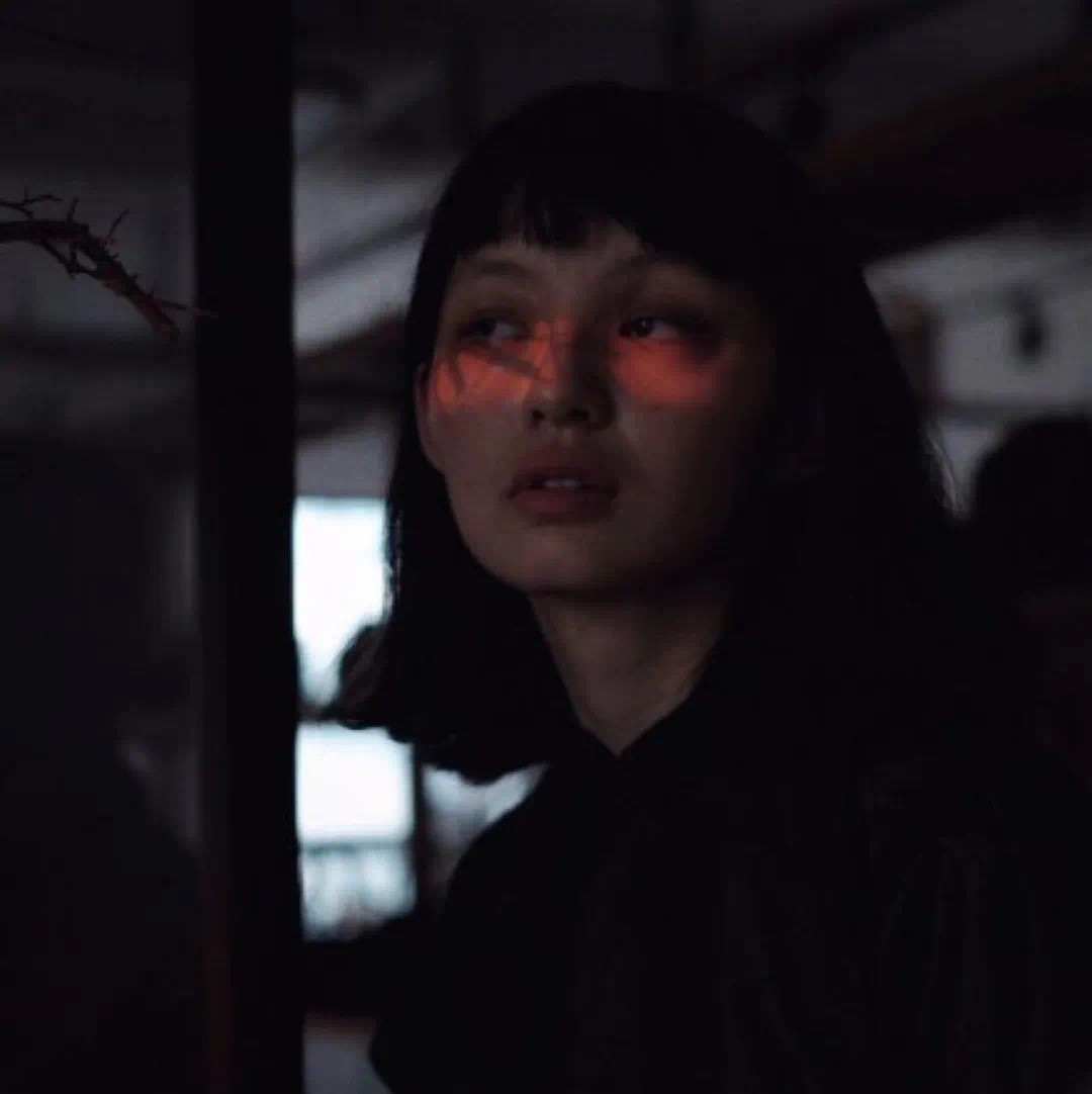 6686体育平台官方作者Xenia