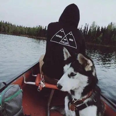 6686体育平台官方作者孤独与我为