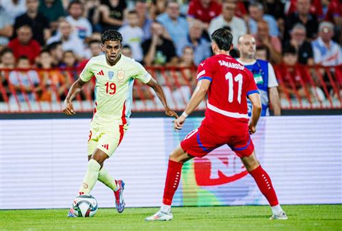 塞尔维亚 vs 西班牙