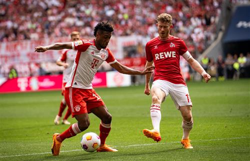 拜仁慕尼黑 vs 科隆