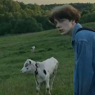 6686体育初级作者Avery